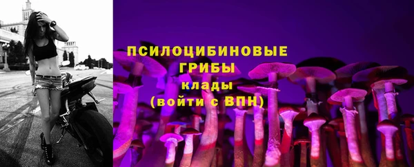 PSILOCYBIN Белокуриха