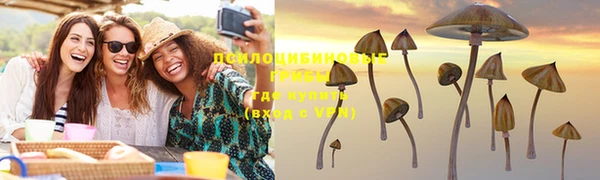 прущая мука Белоозёрский