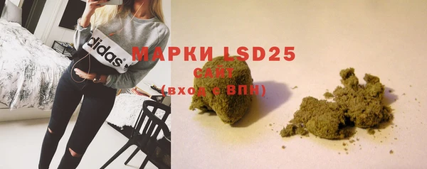 PSILOCYBIN Белокуриха