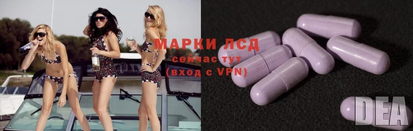 PSILOCYBIN Белокуриха