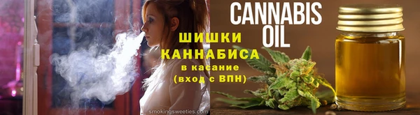 PSILOCYBIN Белокуриха