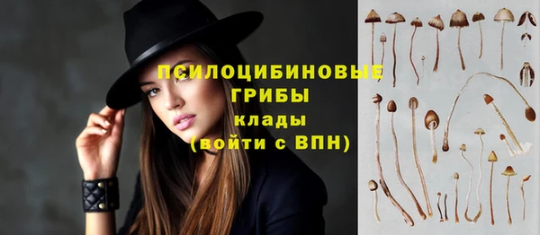 PSILOCYBIN Белокуриха