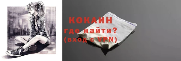PSILOCYBIN Белокуриха