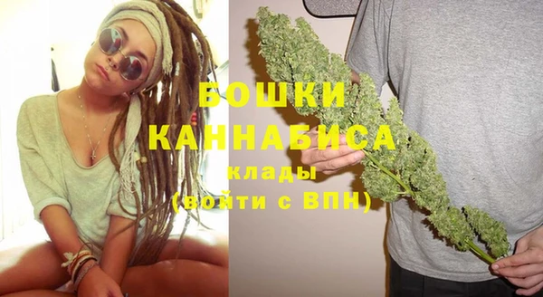 PSILOCYBIN Белокуриха