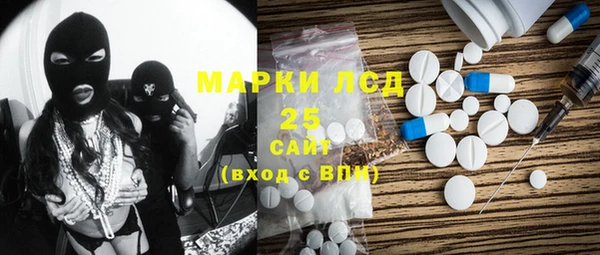 PSILOCYBIN Белокуриха